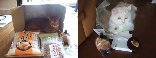 思わぬﾌﾟﾚｾﾞﾝﾄ-それぞれの戦利品.jpg