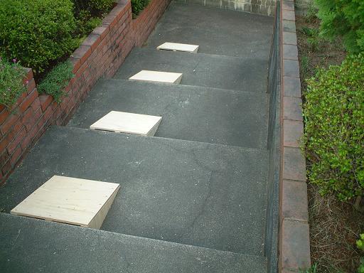 DSCF0429.JPG
