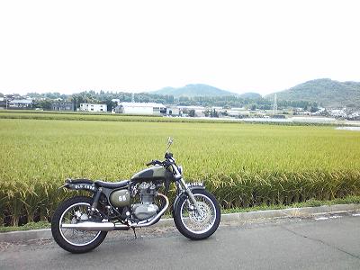 01.jpg