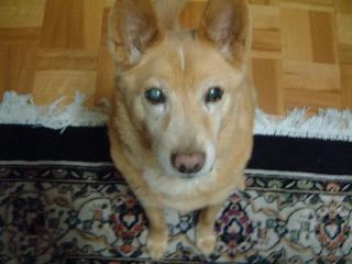 早くよこせ・・・