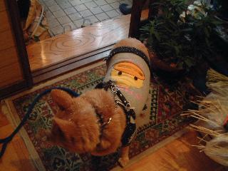 体に雪が。