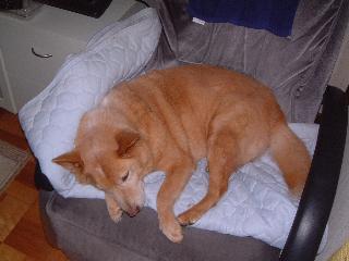 あったちゃいの