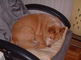 あめさん、ちゃいなのね