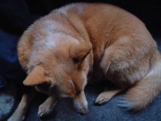 オカマじゃないのよ。