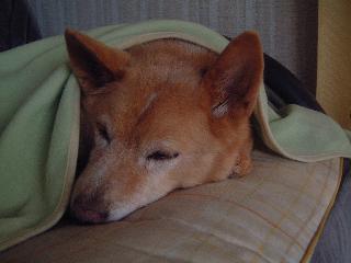 まぁ、可愛い♪