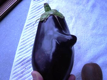 うお！鼻がありまっせ！