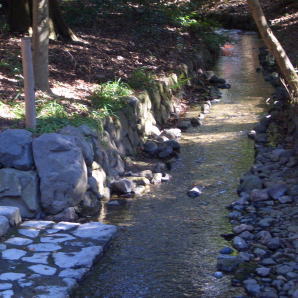 奈良の小川