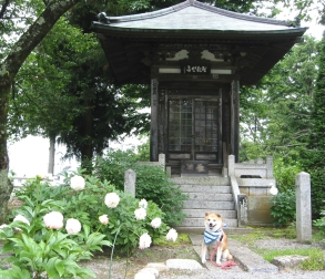 蓮華寺6