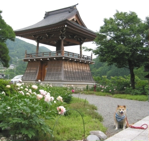 蓮華寺7