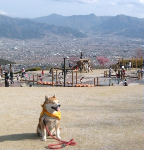 ﾌﾙｰﾂ公園3