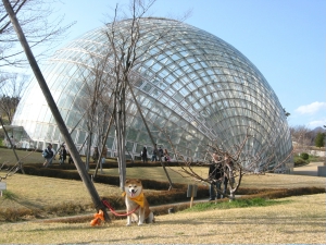 ﾌﾙｰﾂ公園5