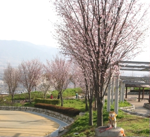 ﾌﾙｰﾂ公園6