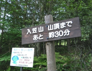 入笠山へ8