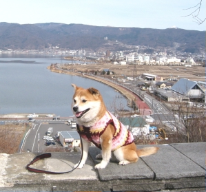 諏訪湖SA
