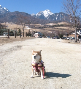 まきば公園4