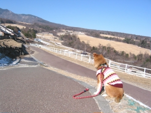 まきば公園05