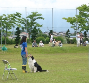 信州訓練4