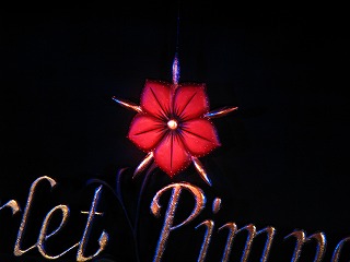 スカーレットピンパーネル