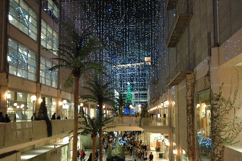 キャナルガーデン