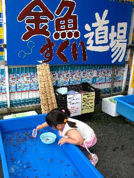 金魚すくい