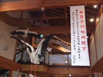 コウノトリの郷公園１