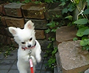 2005-11-11 09:03:51