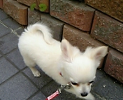 2005-11-11 09:03:51