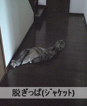 脱ぎっぱ2