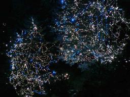 2006_1003画像0032.jpg