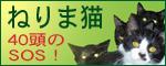 nerimaneko-banner.jpg