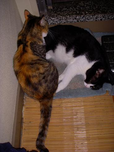 DSCN0303.jpg
