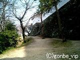 20060311_07