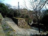 20060311_10