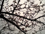 2006030401_02