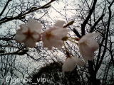 2006030401_03