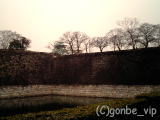2006030401_04
