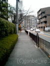 20060308_07