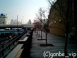 20060308_10
