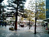 20060330_07
