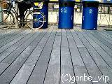 20060308_14