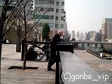 20060308_17