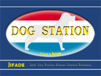 Dogstation2