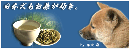 犬と緑茶2
