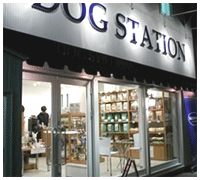 dogstation