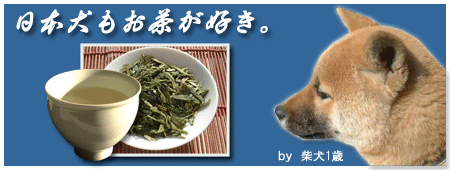 犬とお茶