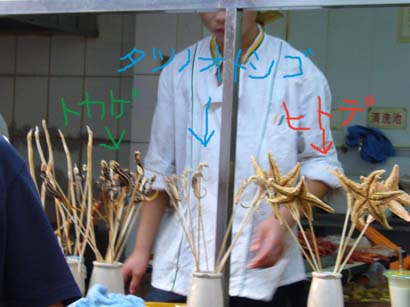 ヒトデの串刺し