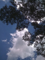 2010夏キャンプ1