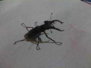 2010夏キャンプ3