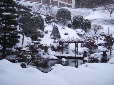 善寶寺4