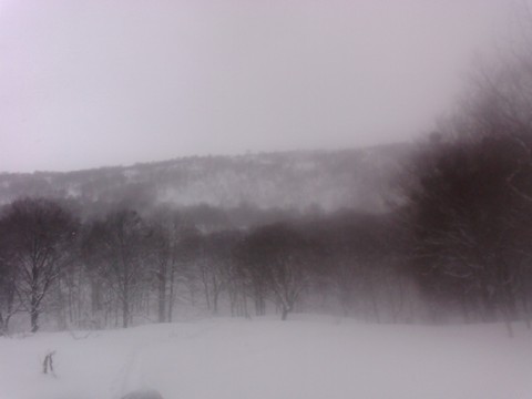 20090124(8)